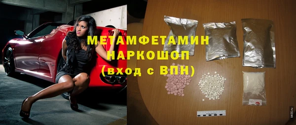 гашик Алексин