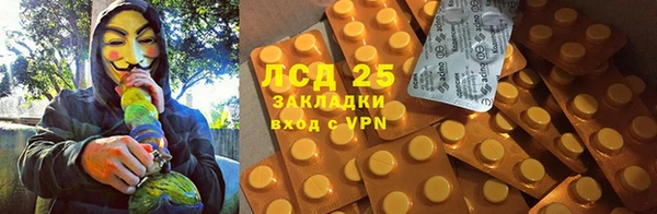 гашик Алексин