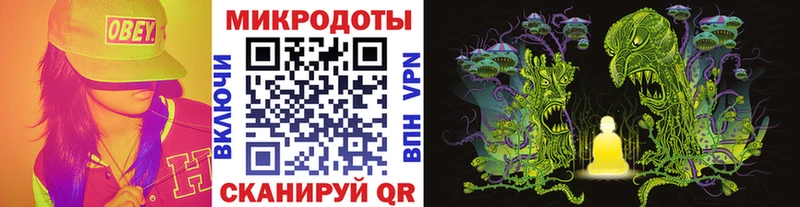 Галлюциногенные грибы Psilocybe  Агидель 